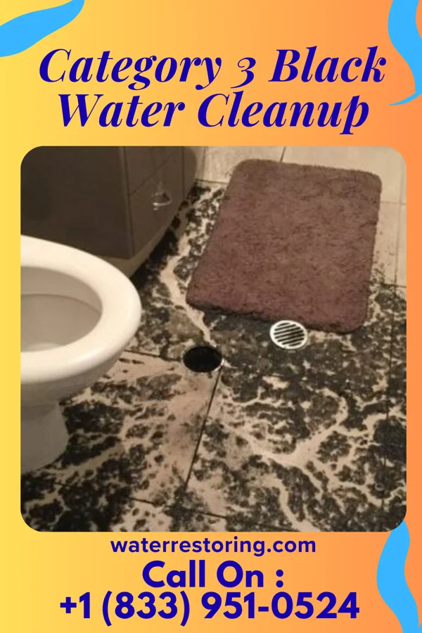 Category 3 Black Water Cleanup in Corinth, KY