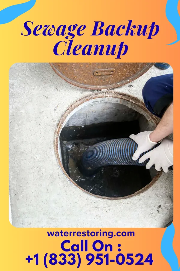 Sewage Backup Cleanup in Corinth, KY